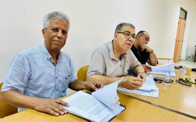 دور مثبطات ألفا في علاج حصاة أسفل الحالب”