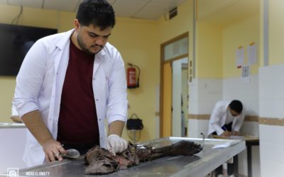 انطلاق امتحانات الدور الثاني بكلية الطب البشري بحضور 757 طالباً في مادة التشريح والأجنة